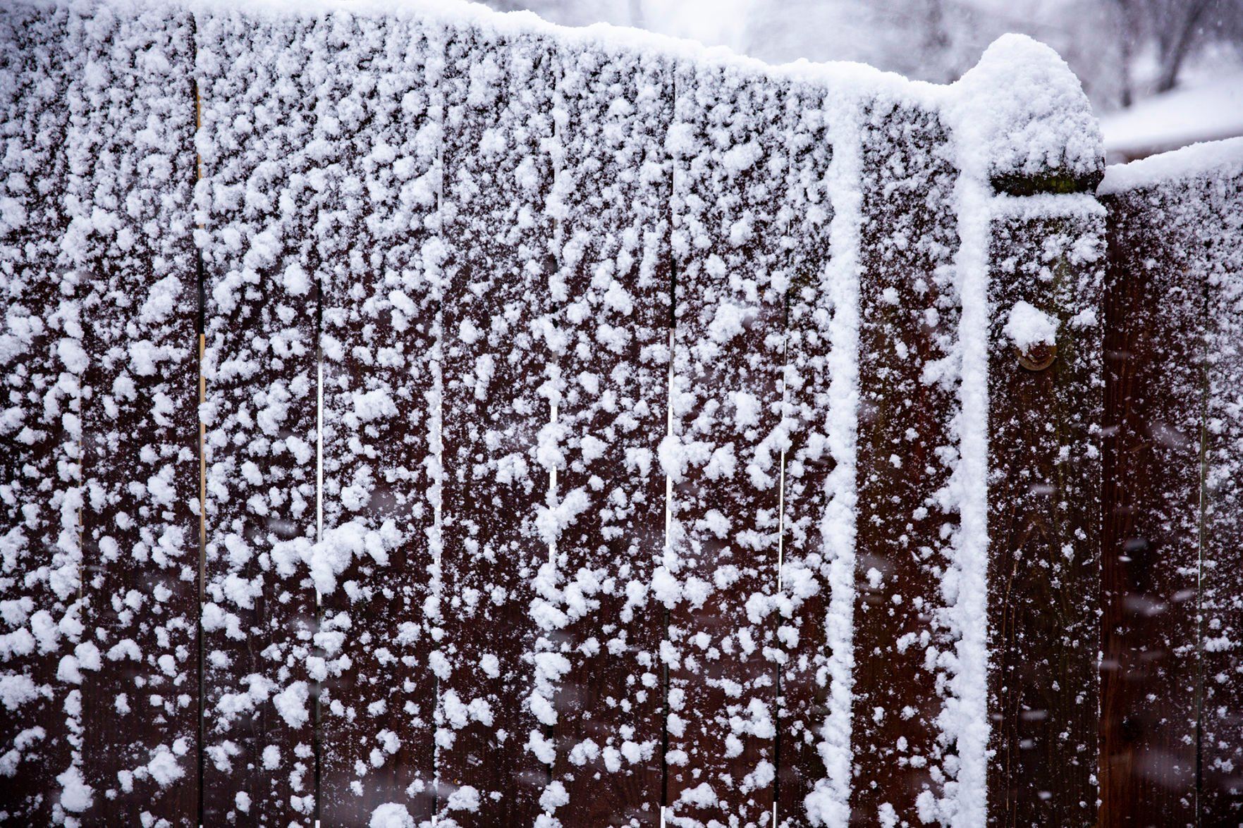 snow day